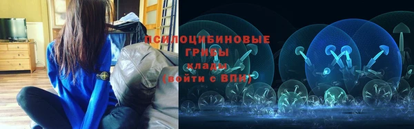 спиды Липки