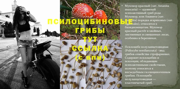 спиды Липки