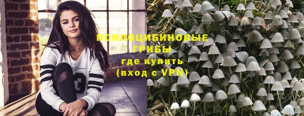 спиды Липки